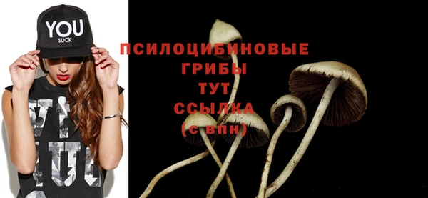 прущий лед Свободный