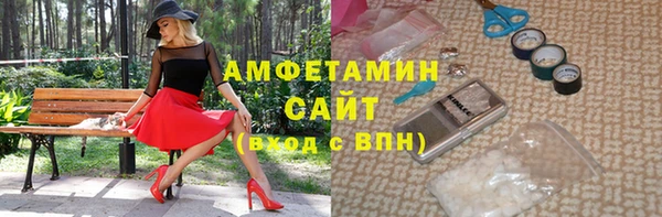 сатива Тобольск