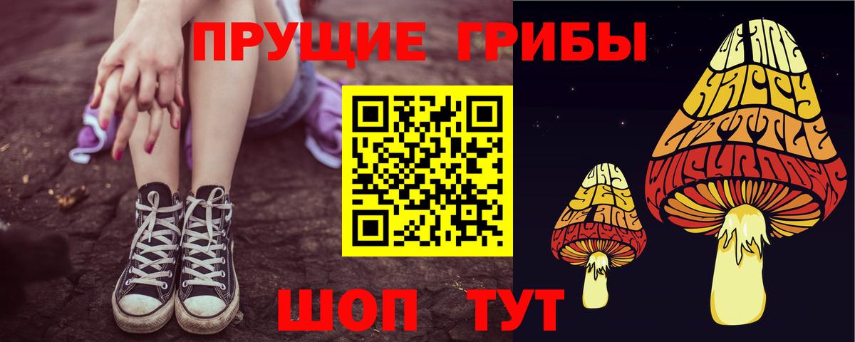 Галлюциногенные грибы Psilocybine cubensis  Галлюциногенные грибы GOLDEN TEACHER  Тында 